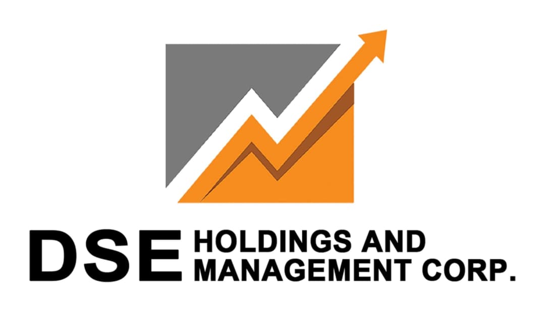 DSE Holdings and Management Corp. Official Logo